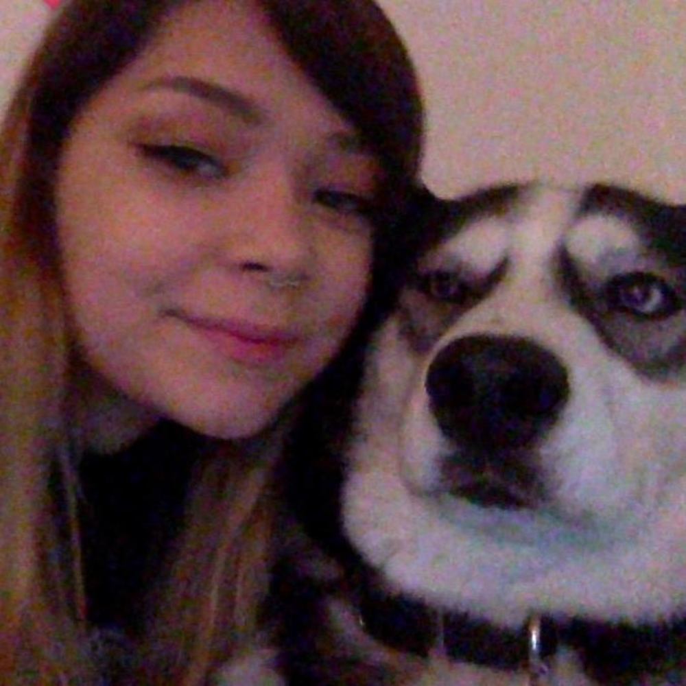 Meet your Posher, Lauren